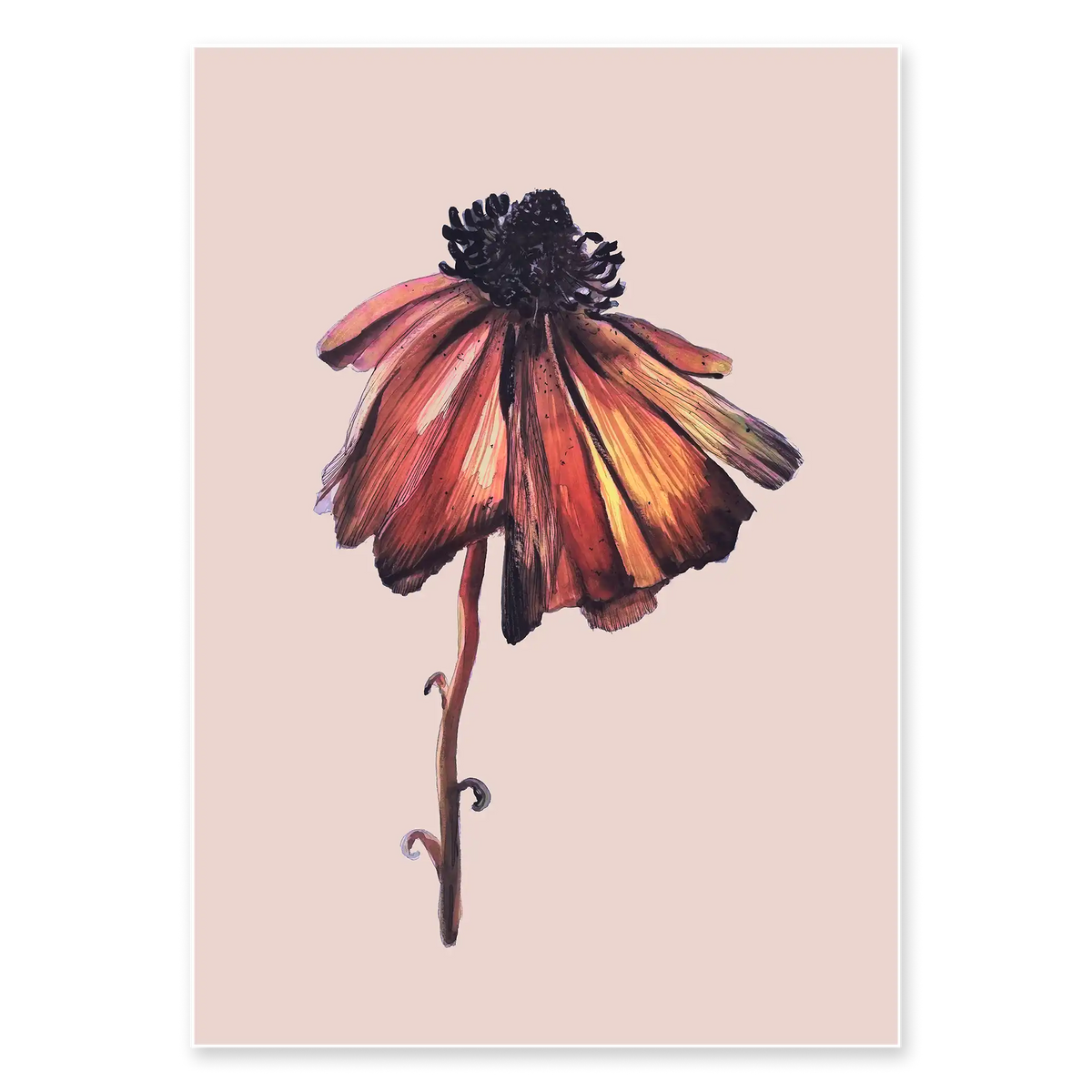BLOOM TWO