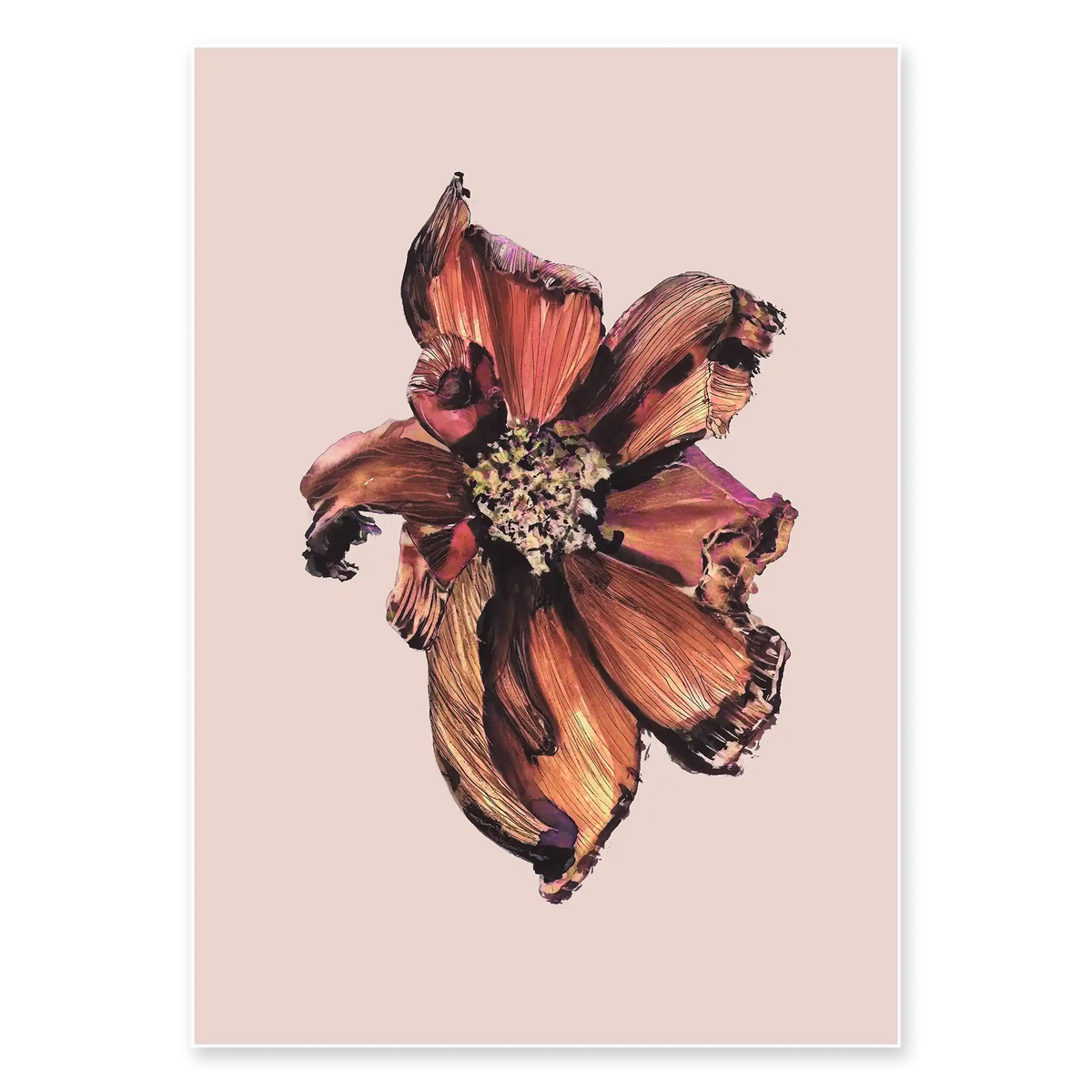 BLOOM ONE