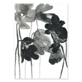 DARK SPRING