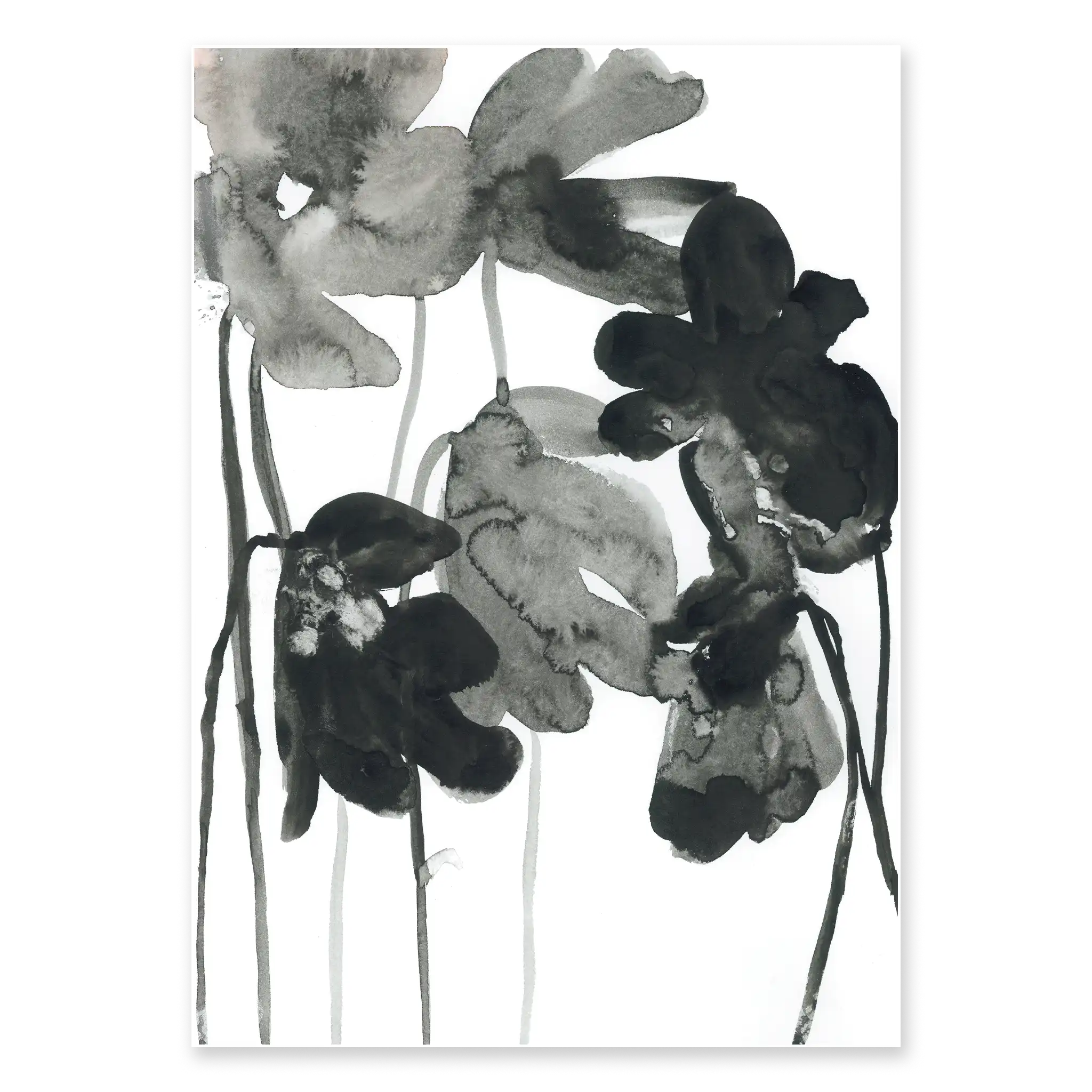 DARK SPRING