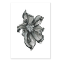 BLOOM ONE