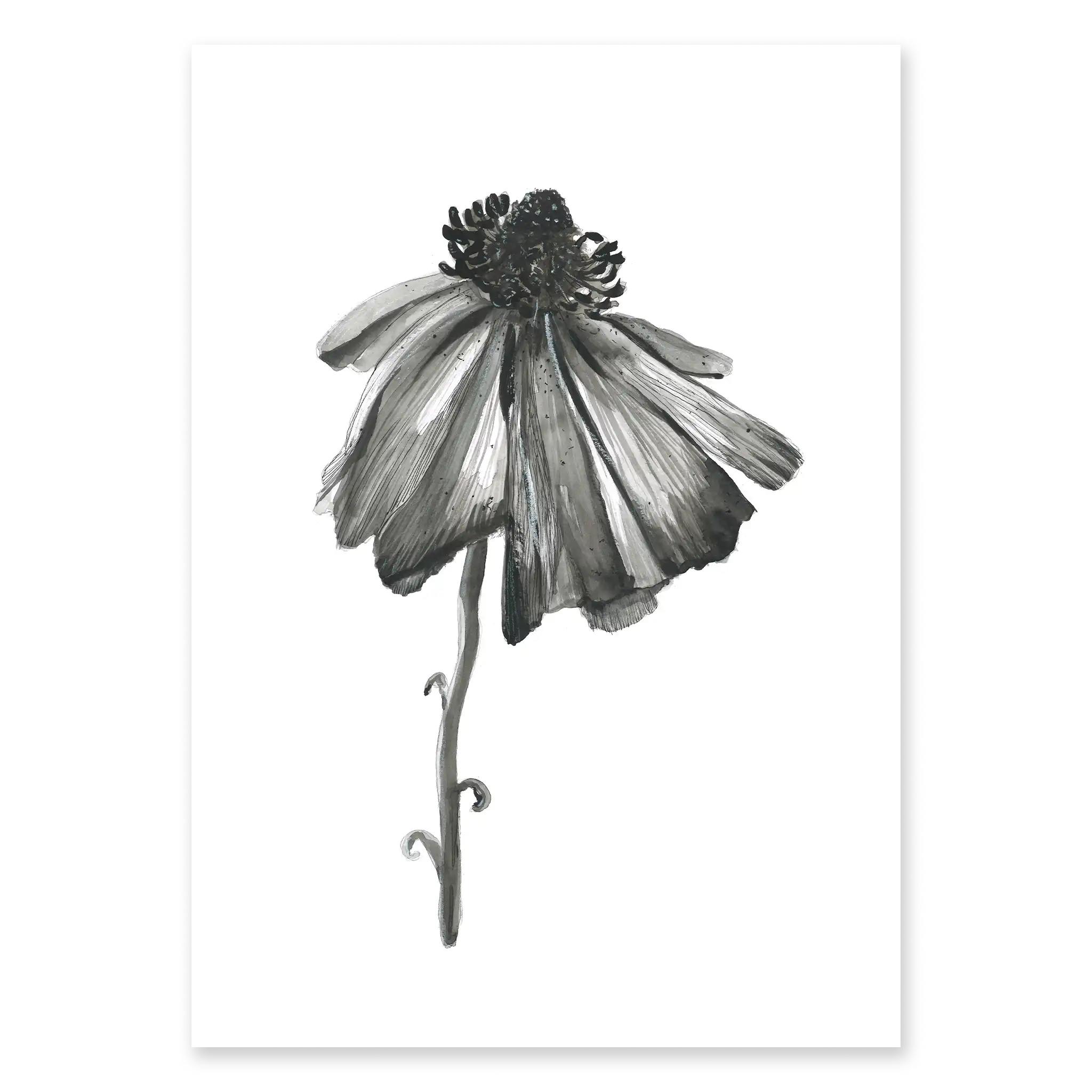 BLOOM TWO