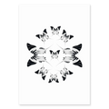 BUTTERFLIES FOUR